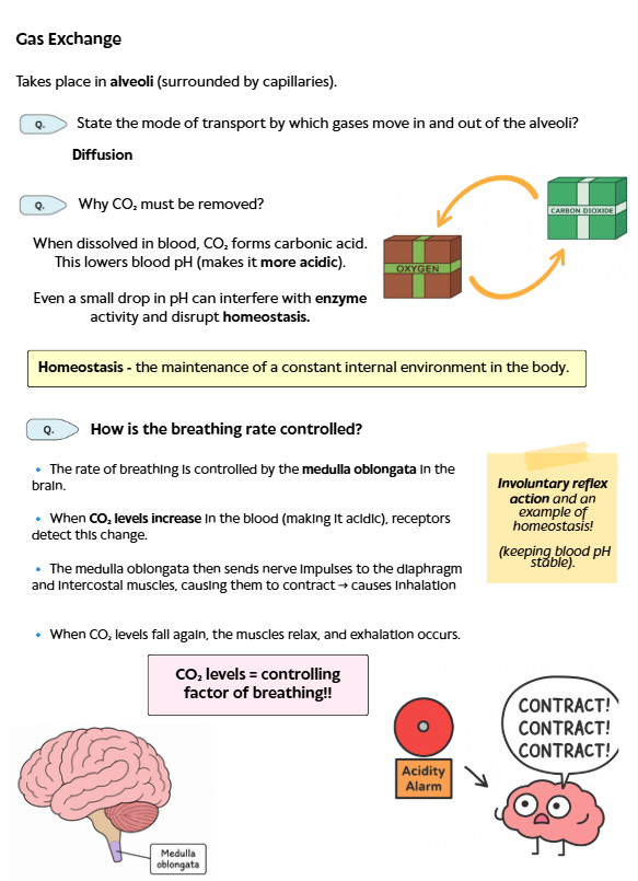 Leaving Certificate Biology