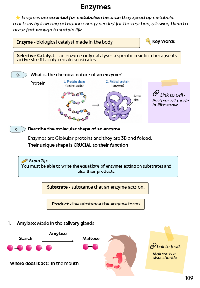 Pre-order Bundle Deal Biology and Chemistry Book