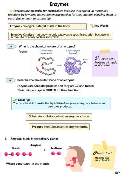 Pre-order Bundle Deal Biology and Chemistry Book