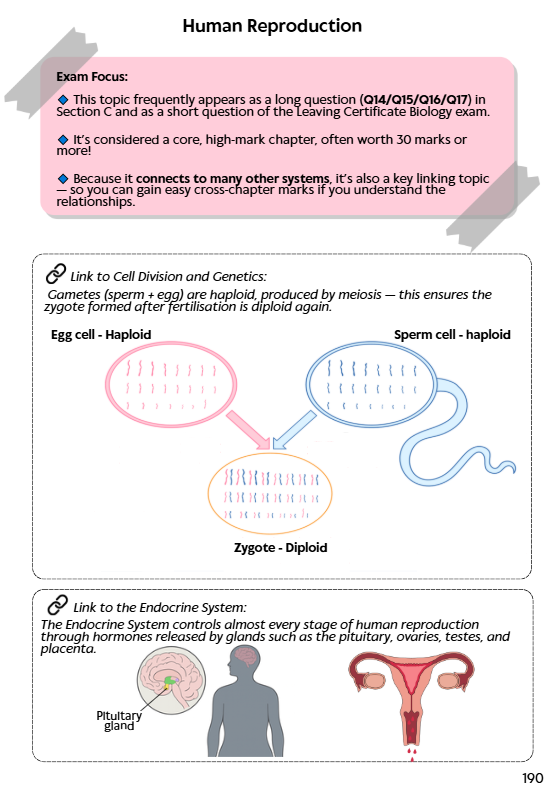 Leaving Certificate Biology